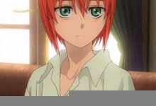 chise中文翻译,chise发音,chise用法及例句,chise是什么意思-生活随想记录