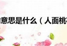 人面桃花的意思,人面桃花的近义词反义词,人面桃花造句例句,人面桃花出处及解释-生活随想记录