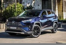 hybrid中文翻译,hybrid发音,hybrid用法及例句,hybrid是什么意思-生活随想记录