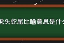 虎头蛇尾_有始无终典故,虎头蛇尾_有始无终故事,虎头蛇尾_有始无终是什么意思-生活随想记录