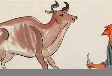 庖丁解牛典故,庖丁解牛故事,庖丁解牛是什么意思-生活随想记录