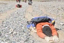 五体投地的意思,五体投地的近义词反义词,五体投地造句例句,五体投地出处及解释-生活随想记录