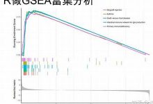 ssgsea中文翻译,ssgsea发音,ssgsea用法及例句,ssgsea是什么意思-生活随想记录