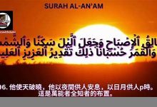 seven中文翻译,seven发音,seven用法及例句,seven是什么意思-生活随想记录