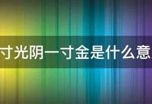 一寸光阴一寸金的意思,一寸光阴一寸金的近义词反义词,一寸光阴一寸金造句例句,一寸光阴一寸金出处及解释-生活随想记录