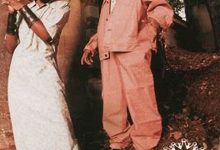 police中文翻译,police发音,police用法及例句,police是什么意思-生活随想记录