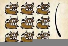 九牛一毛的意思,九牛一毛的近义词反义词,九牛一毛造句例句,九牛一毛出处及解释-生活随想记录