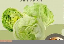 letus中文翻译,letus发音,letus用法及例句,letus是什么意思-生活随想记录